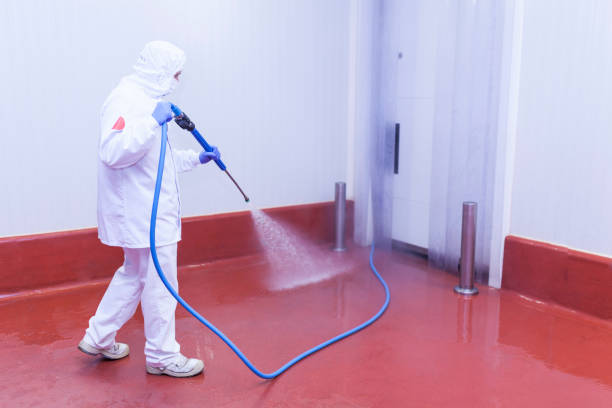 Best Roof Washing  in Cortland, NY